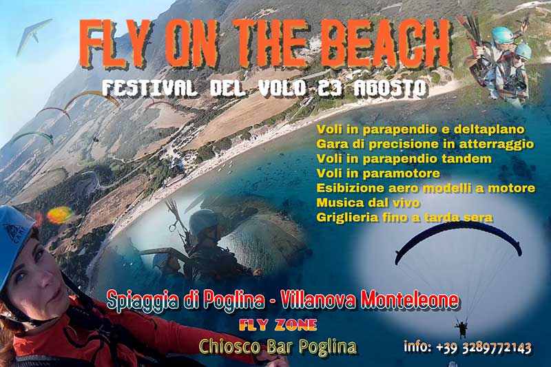 fly on the beach sardinia